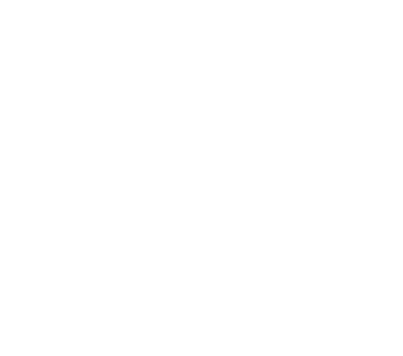 The Indian Kitchen